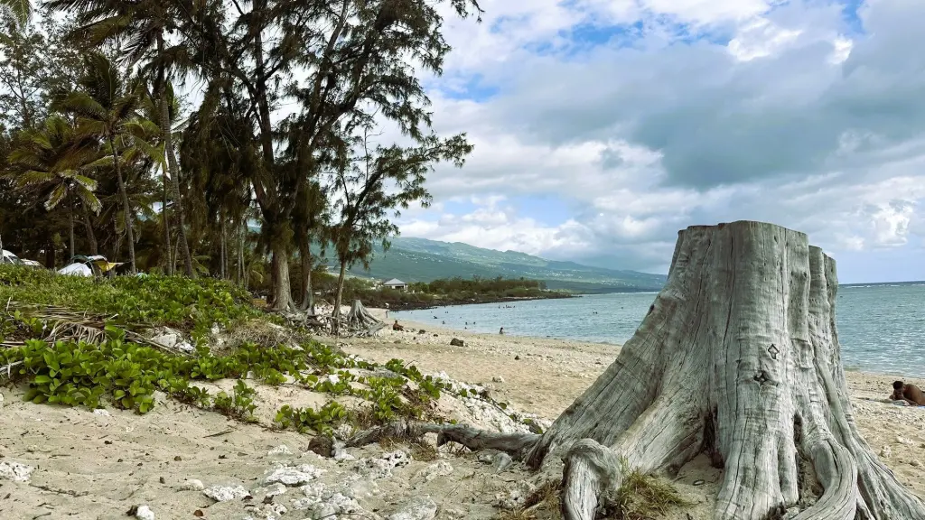 plage de la saline réunion