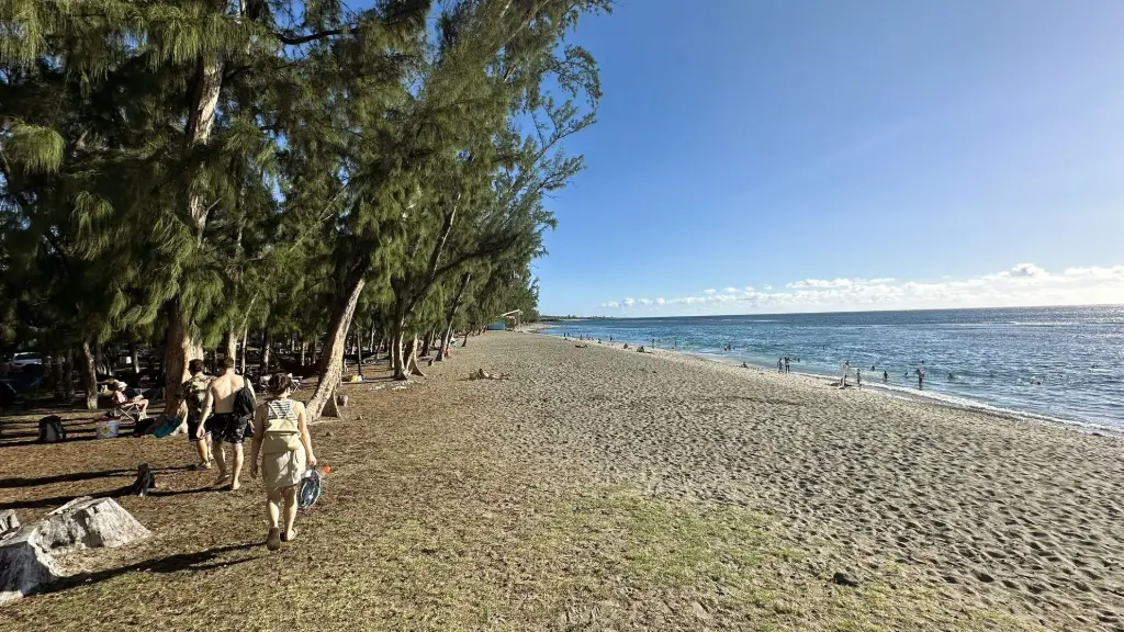 plage de saint leu réunion