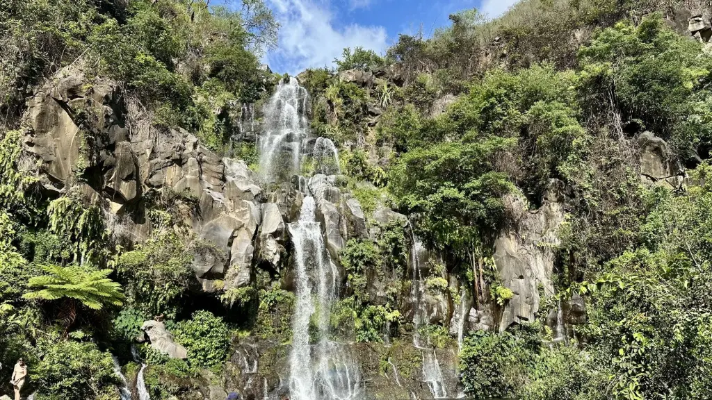 bassin des aigrettes la réunion