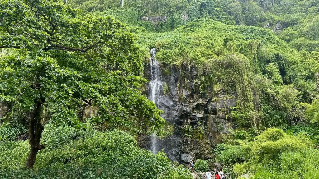 anse des cascades la réunion