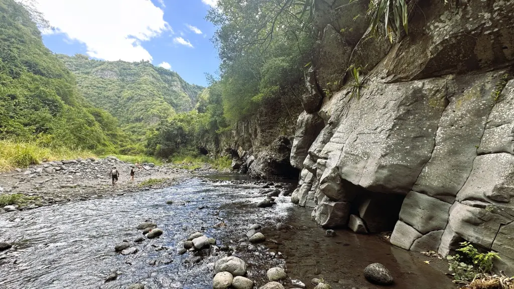 sentier dassy la réunion 3 semaines