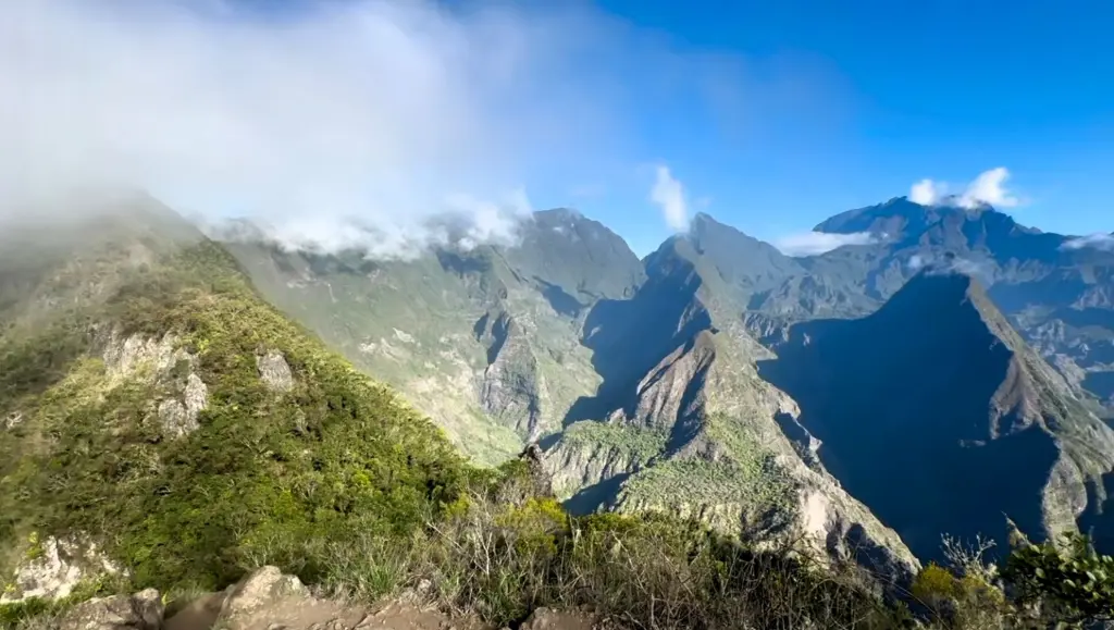 allée roche vert bouteille la réunion