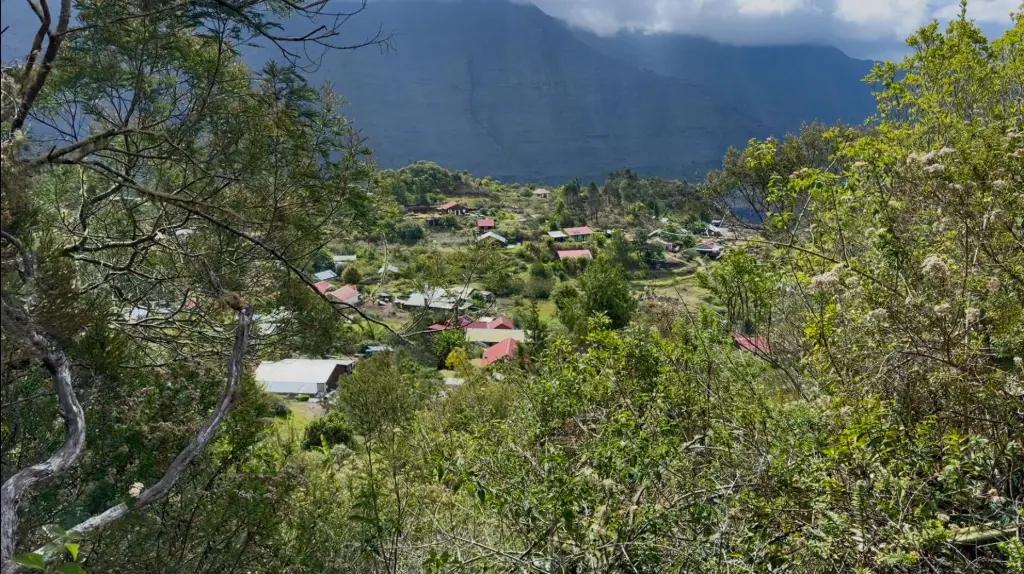 la nouvelle la réunion