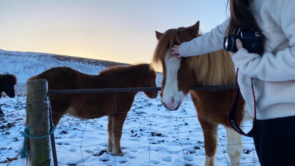 partir en islande en novembre en amoureux