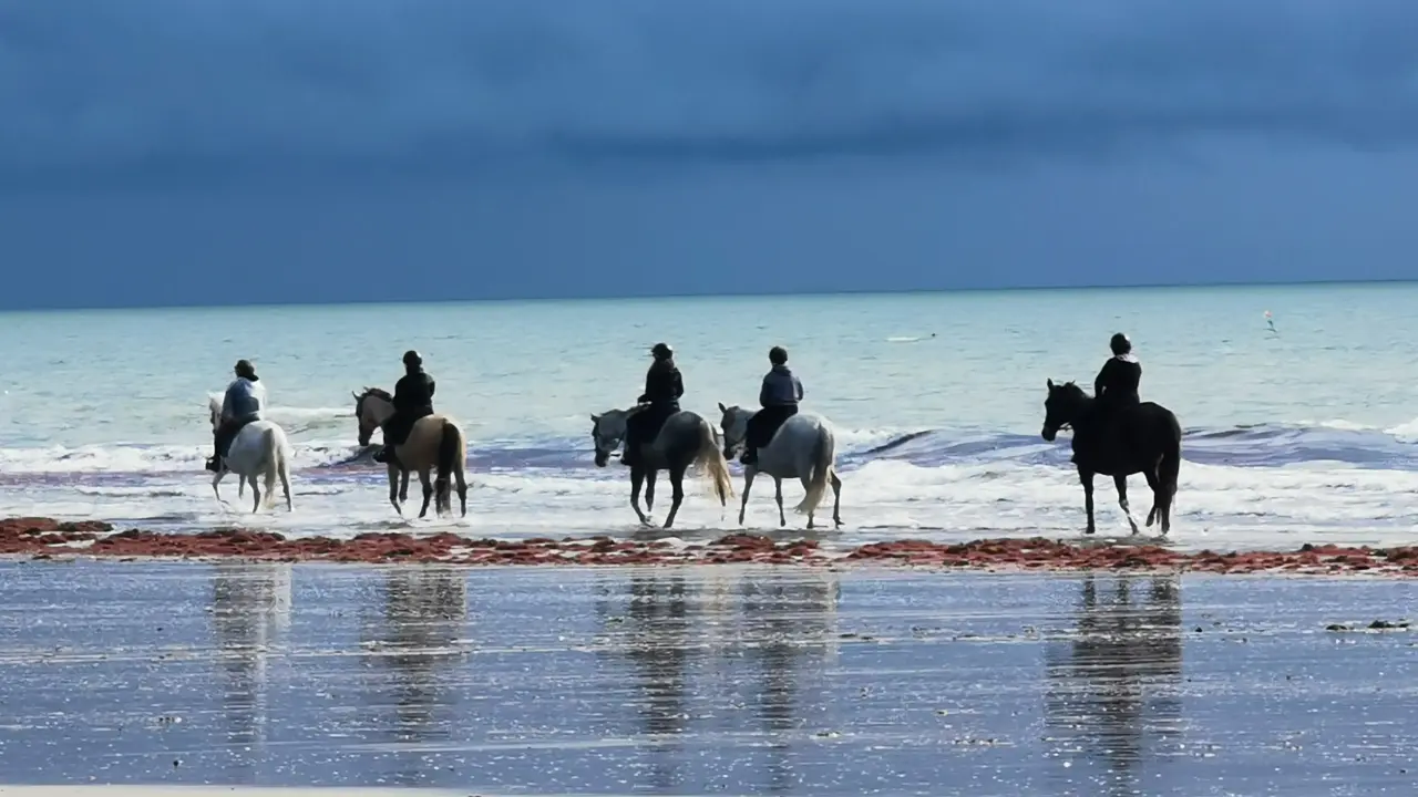 balade à cheval à saint jean de monts